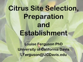 Citrus Site Selection,  Preparation  and  Establishment  Louise Ferguson PhD  University of