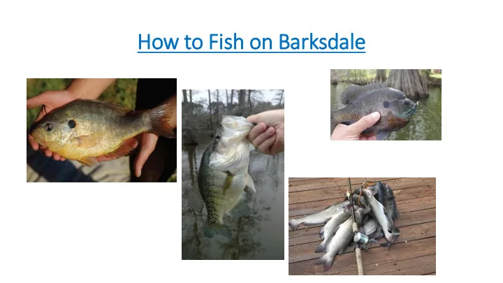how to fish on barksdale how to fish on barksdale