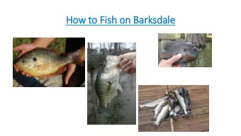 How to Fish on Barksdale  How to Fish on Barksdale  - Lakes, Ponds and Bayous on Barksdale  - Types