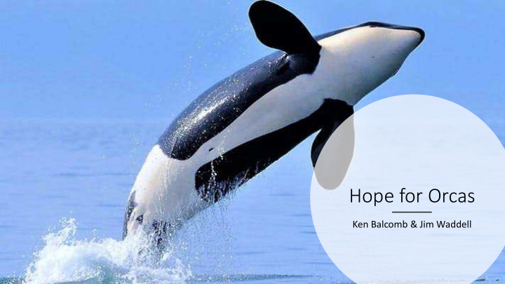 hope for orcas