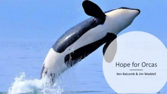 Hope for Orcas  Ken Balcomb &amp; Jim Waddell  Jim Waddell, Jim Fetter &amp; EPA Region 10  Credit: