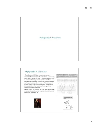 12-11-06  Phylogenetics 1: An overview  Phylogenetics 1: An overview Phylogenetic tree used in The