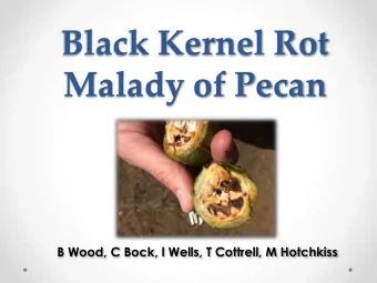 Black Kernel Rot  Malady of Pecan  B Wood, C Bock, l Wells, T Cottrell, M Hotchkiss  Black Kernel