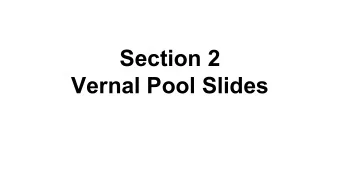 Section 2  Vernal Pool Slides  Vernal Pools  By Ava, Si, Leighton,and Cindy  What is a Vernal Pool?