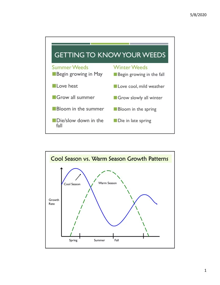 getting to know your weeds