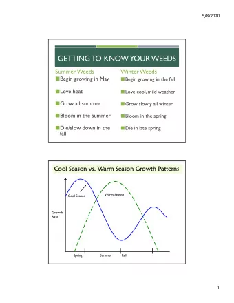 GETTING TO KNOW YOUR WEEDS  Summer Weeds  Winter Weeds  Begin growing in May  Begin growing