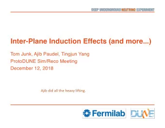 Inter-Plane Induction Effects (and more...)  Tom Junk, Ajib Paudel, Tingjun Yang  ProtoDUNE