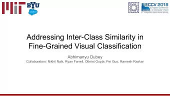 Addressing Inter-Class Similarity in  Fine-Grained Visual Classification  Abhimanyu Dubey