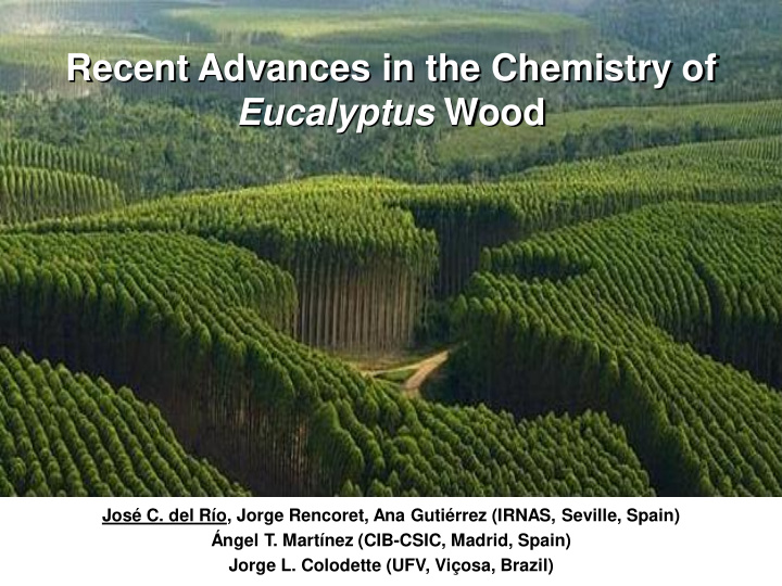 recent advances in the chemistry of eucalyptus wood