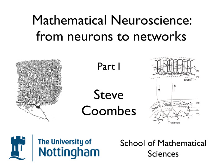 mathematical neuroscience from neurons to networks