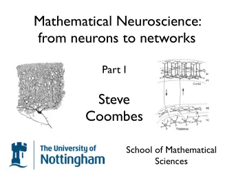Mathematical Neuroscience:  from neurons to networks  Part I  Cortex  Steve  Coombes  School of
