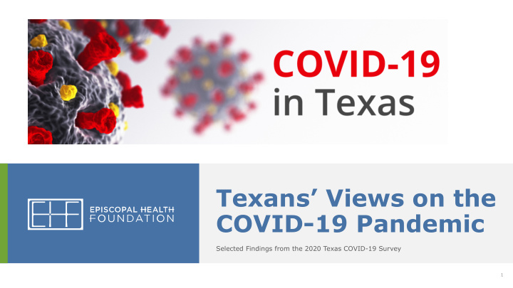 texans views on the covid 19 pandemic
