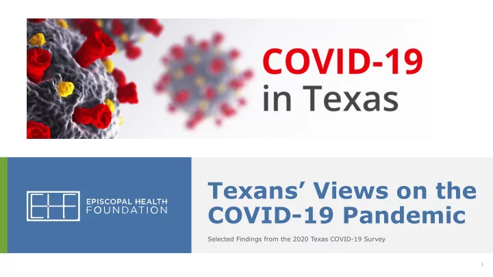 texans views on the covid 19 pandemic