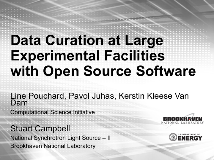 data curation at large experimental facilities with open