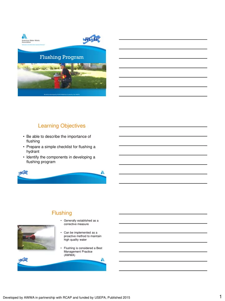 flushing program