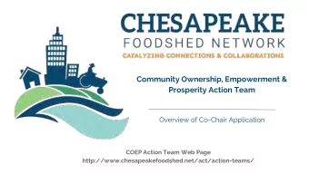 Community Ownership, Empowerment &amp;  Prosperity Action Team  Overview of Co-Chair Application