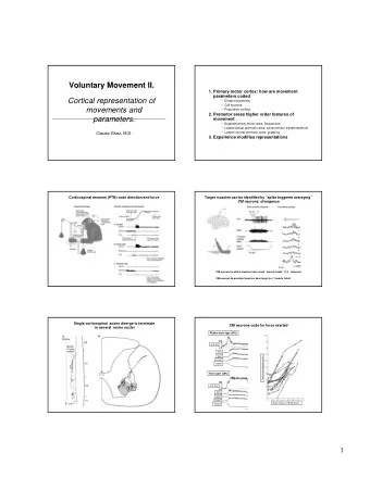 Voluntary Movement II.  1. Primary motor cortex: how are movement  parameters coded  Cortical