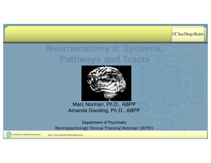 neuroanatomy ii systems pathways and tracts