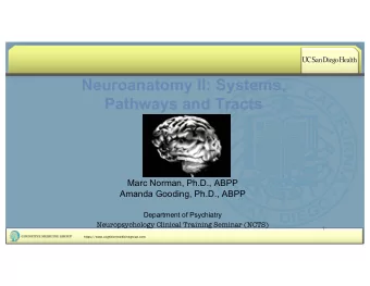 Neuroanatomy II: Systems,  Pathways and Tracts  Marc Norman, Ph.D., ABPP  Amanda Gooding, Ph.D.,