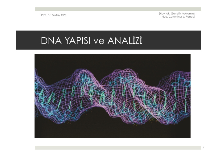 dna yapisi ve anal z