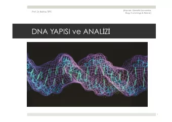 DNA YAPISI ve ANAL  Z   1  (Kaynak: Genetik Kavramlar, Prof. Dr. Bekta  TEPE  Klug, Cummings