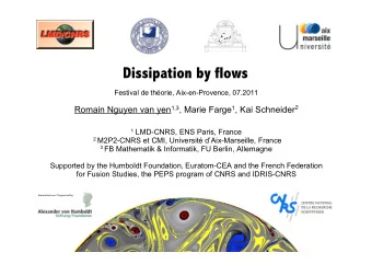Dissipation by flows  Festival de thorie, Aix-en-Provence, 07.2011 Romain Nguyen van yen 1,3 ,