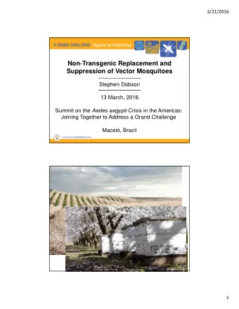 Non  Transgenic Replacement and  Suppression of Vector Mosquitoes  Stephen Dobson  13 March,