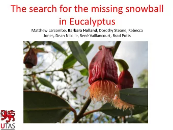 The search for the missing snowball  in Eucalyptus Matthew Larcombe, Barbara Holland , Dorothy