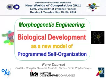 Biological Development  as a new model of  Programmed Self-Organization  Ren Doursat  CNRS
