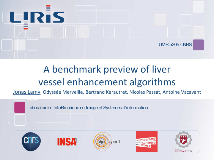 a benchmark preview of liver vessel enhancement algorithms