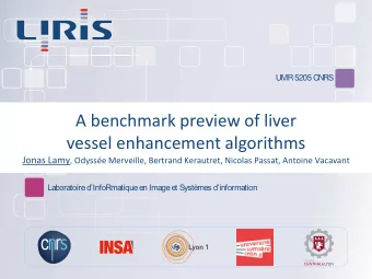 A benchmark preview of liver  vessel enhancement algorithms Jonas Lamy , Odysse Merveille,