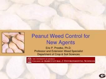 Peanut Weed Control for  New Agents  Eric P. Prostko, Ph.D.  Professor and Extension Weed