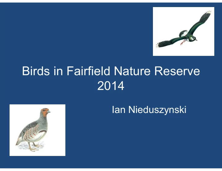 birds in fairfield nature reserve 2014