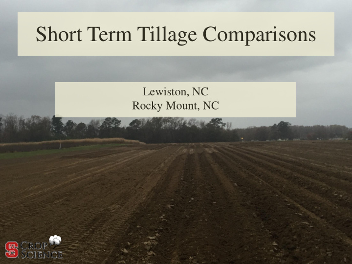 short term tillage comparisons
