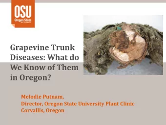 in Oregon?  Melodie Putnam,  Director, Oregon State University Plant Clinic Corvallis, Oregon  What