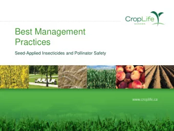 Practices  Seed-Applied Insecticides and Pollinator Safety  Introduction    This document