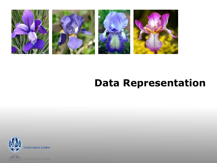 data representation the popular table