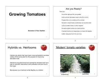 Growing Tomatoes    Found the right spot for your garden    Had a soil test (tomatoes need a