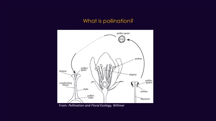 what is pollination