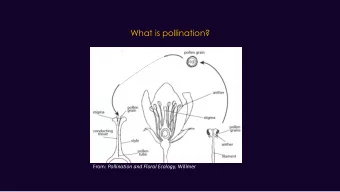 What is pollination?  . From: Pollination and Floral Ecology, Willmer  Why animal pollination?  .