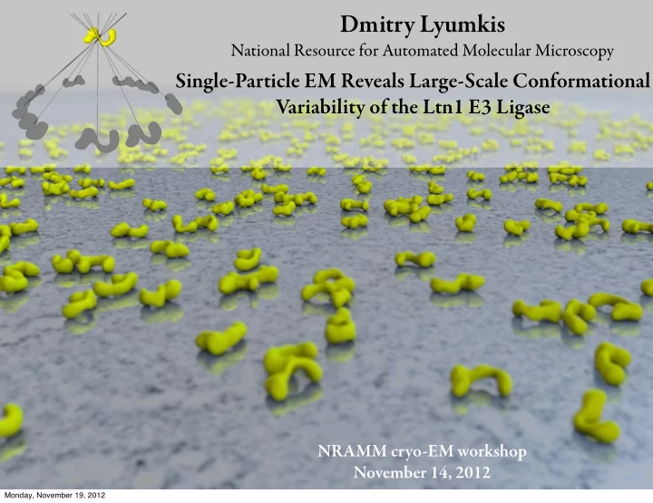 dmitry lyumkis