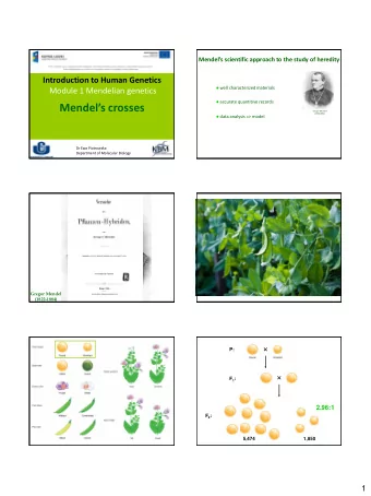 Mendels crosses  Gregor Mendel  (1822-1884)  data analysis =&gt; model  Dr Ewa Piotrowska
