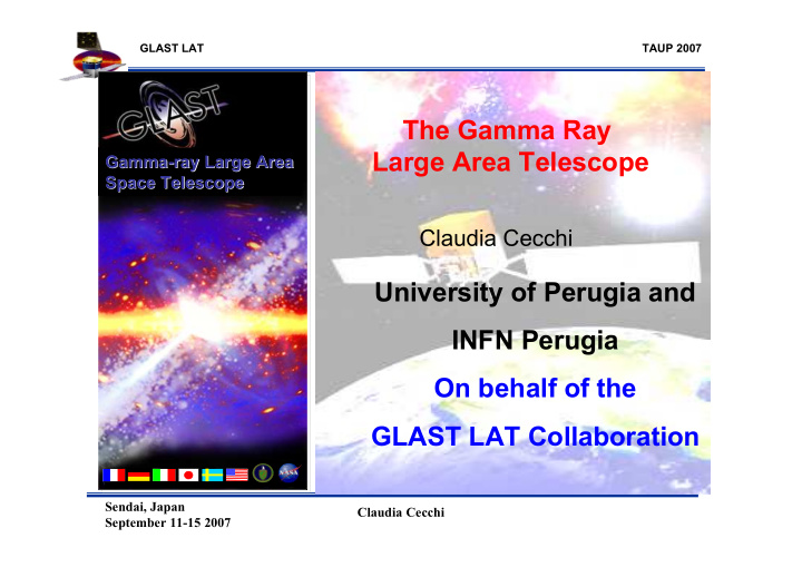 the gamma ray large area telescope
