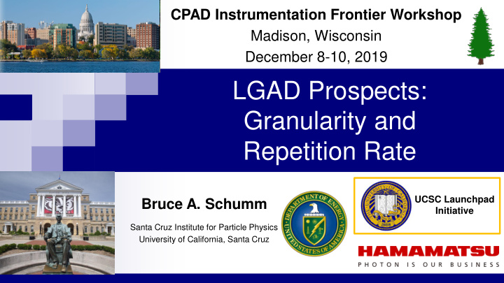 lgad prospects granularity and repetition rate