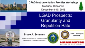 LGAD Prospects:  Granularity and  Repetition Rate  UCSC Launchpad  Bruce A. Schumm  Initiative