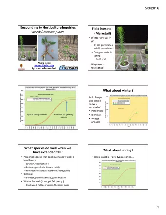 Responding to Horticulture Inquiries Field horsetail Weeds/Invasive plants  (Marestail)