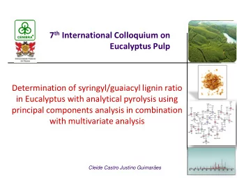 Eucalyptus Pulp  Determination of syringyl/guaiacyl lignin ratio  in Eucalyptus with analytical
