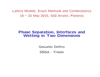 Phase Separation, Interfaces and  Wetting in Two Dimensions  Gesualdo Delfino  SISSA - Trieste