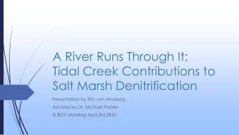 A River Runs Through It:  Tidal Creek Contributions to  Salt Marsh Denitrification  Presentation by