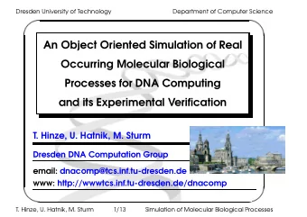 An Object Oriented Simulation of Real  Occurring Molecular Biological  Processes for DNA Computing